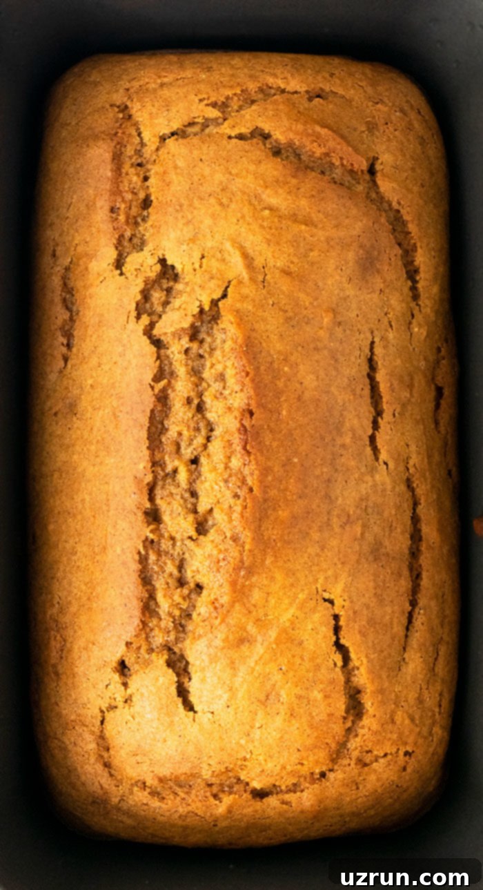 Simple Cake Mix Pumpkin Bread 6 Classic Sweet Spiced Bread in Loaf Pan Without Glaze.