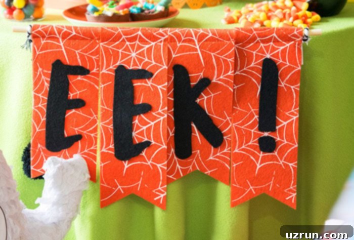 Easy Owl Cake for Kids Halloween Party 4 Halloween Party Decorations- Closeup Shot of EEK Banner