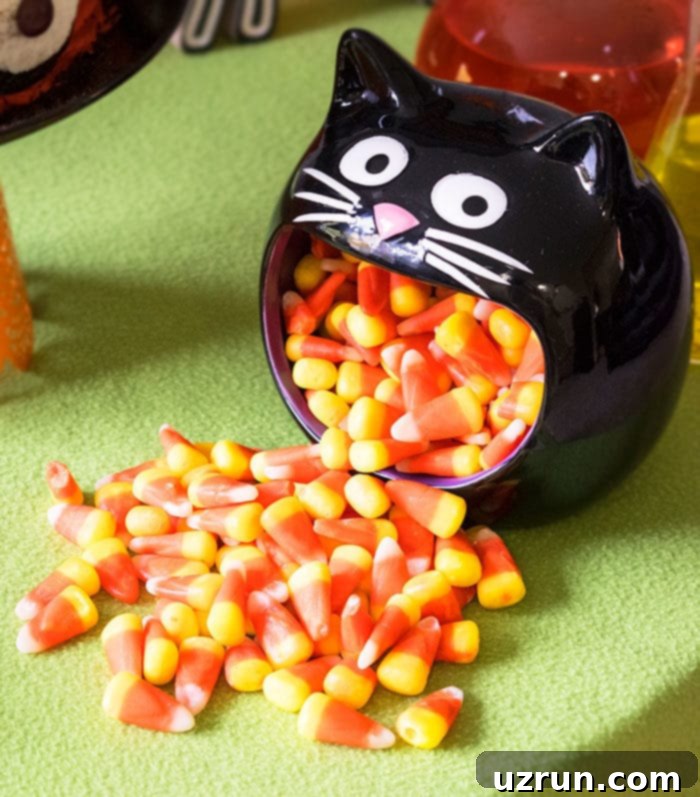 Easy Owl Cake for Kids Halloween Party 6 Halloween Candies Served in Black Cat Mouth