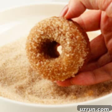 Baked Apple Cider Cake Donuts 11 Donuts getting covered in cinnamon sugar mixture.