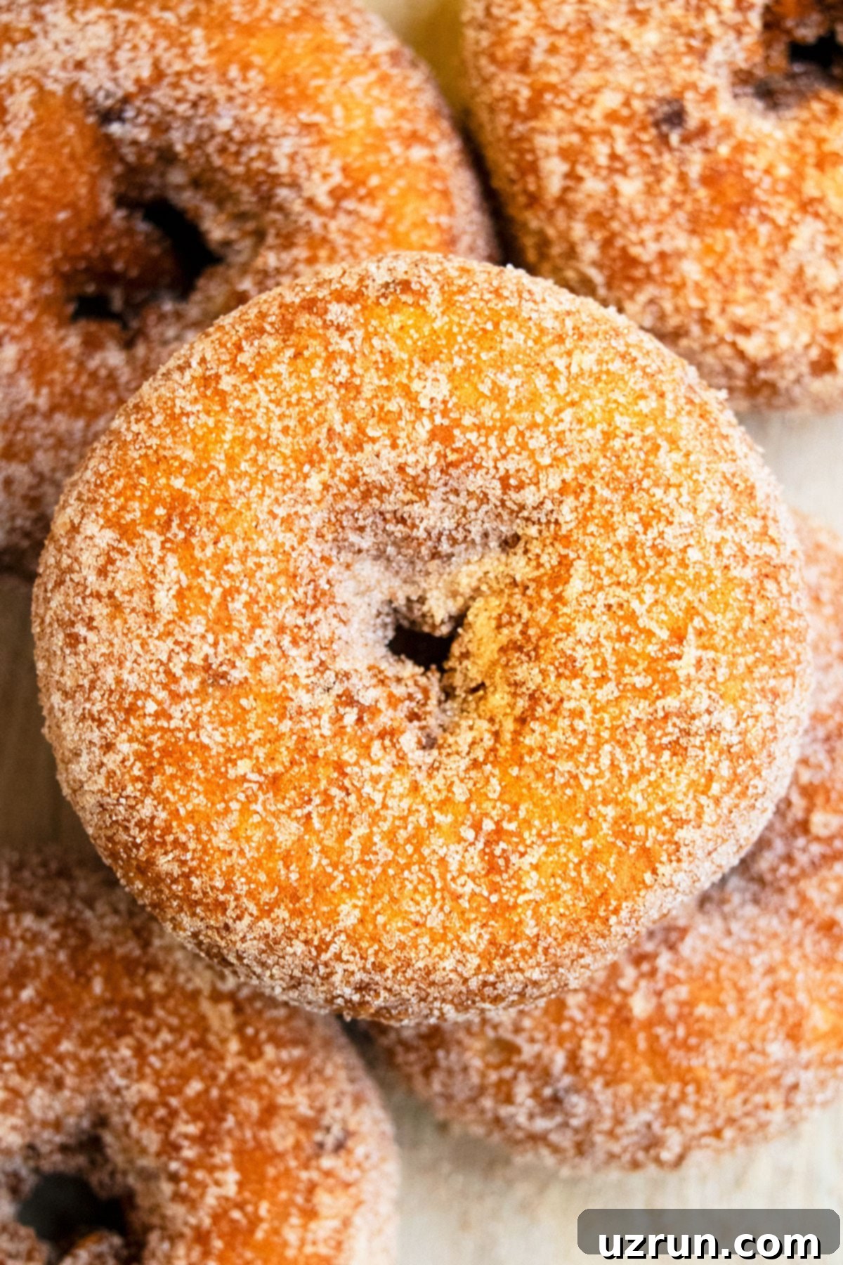 Baked Apple Cider Cake Donuts 12 Closeup Shot of Spiced Apple Cider Cake Doughnut.