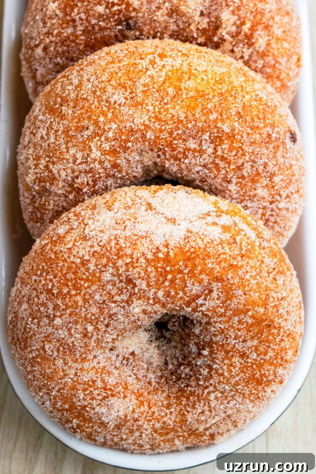 Baked Apple Cider Cake Donuts 13 Spiced Donuts on Black and White Dish- Overhead Shot.