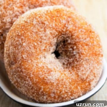 Baked Apple Cider Cake Donuts 14 Best Easy Homemade Baked Apple Cider Donuts on Black and White Dish.