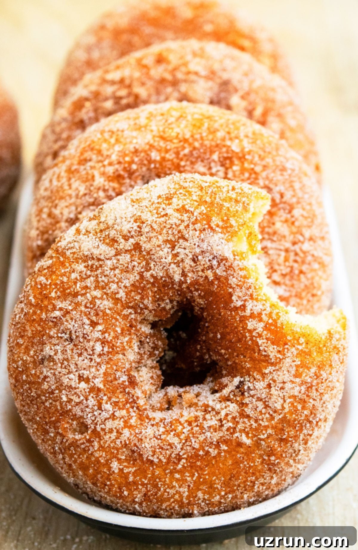 Baked Apple Cider Cake Donuts 3 Partially Eaten Donut on Black and White Dish.