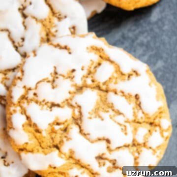 Vanilla Glazed Oatmeal Cookies 6 Classic Easy Iced Oatmeal Cookies on Rustic Gray Background.