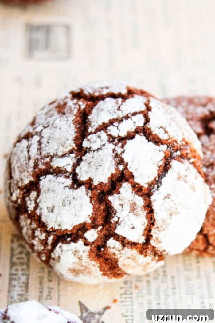 Homemade Chocolate Crinkle Cookies Recipe