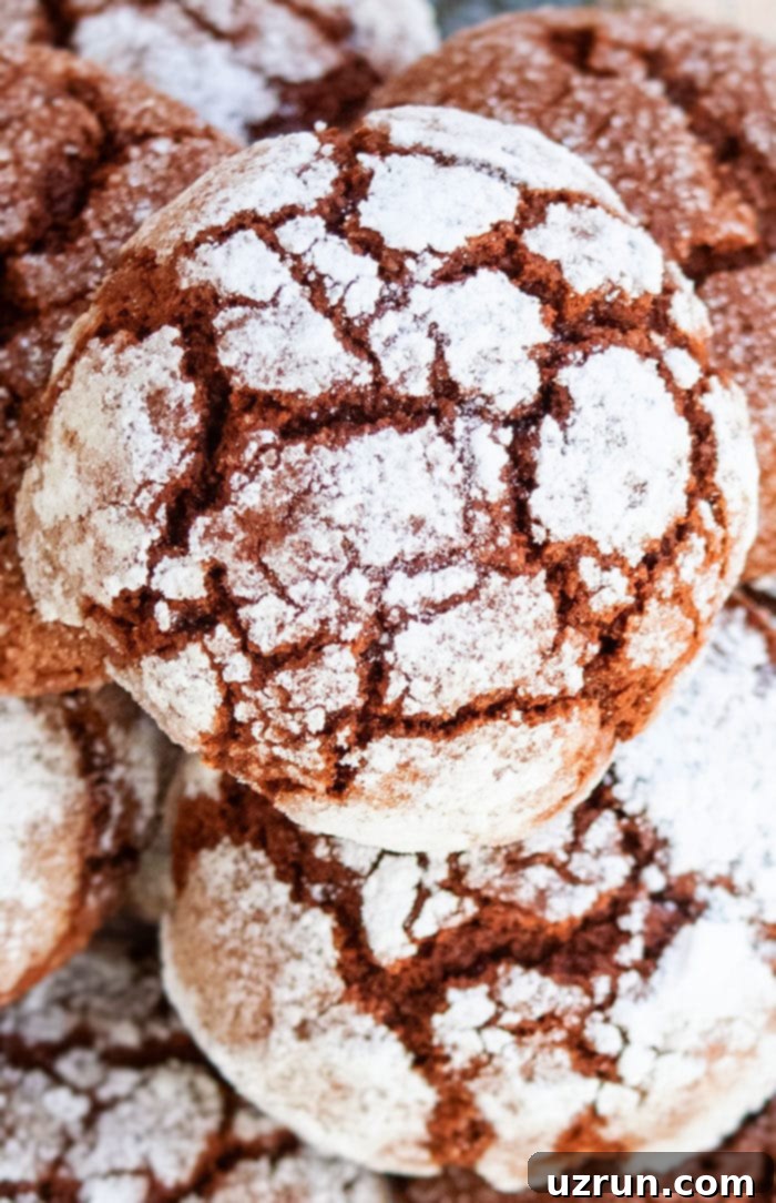 Easy Cake Mix Chocolate Crinkle Cookies 5 Easy Chocolate Crinkle Cookies Recipe With Cake Mix