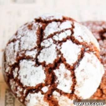 Easy Cake Mix Chocolate Crinkle Cookies 6 Homemade Chocolate Crinkle Cookies Recipe