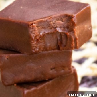 Easy 3 Ingredient Chocolate Fudge 5 Easy Chocolate Fudge Recipe