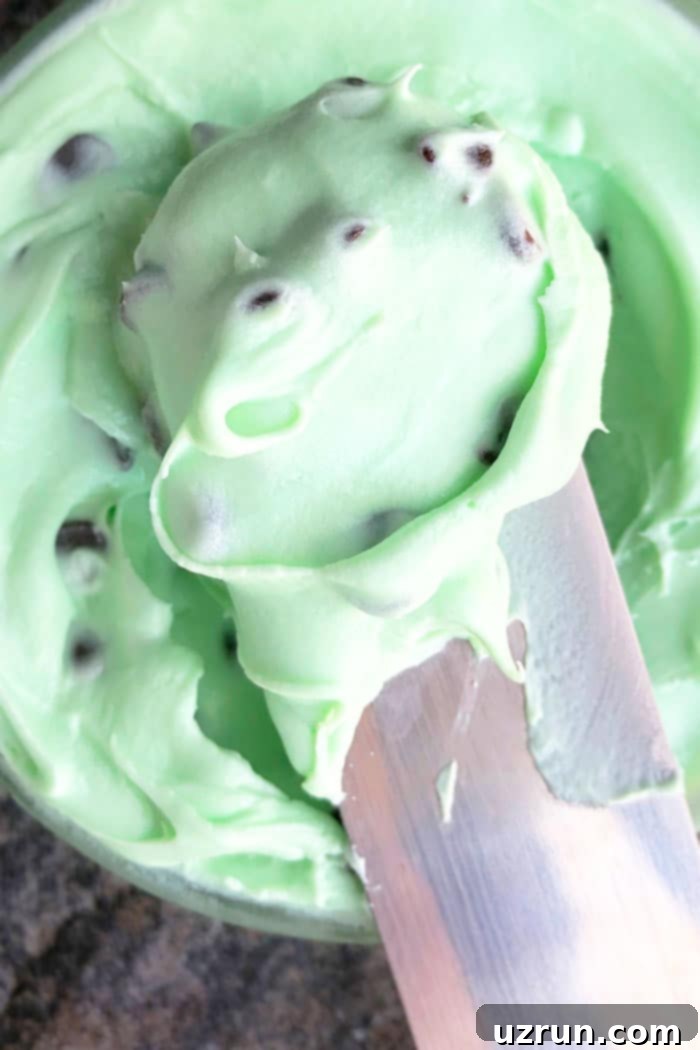 Quick Refreshing Mint Frosting 4 Chocolate Mint Frosting with a rich green color, hinting at delicious flavor.