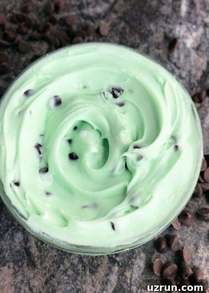 Quick Refreshing Mint Frosting 5 Mint Icing With Chocolate Chips, ready to be used on various desserts.