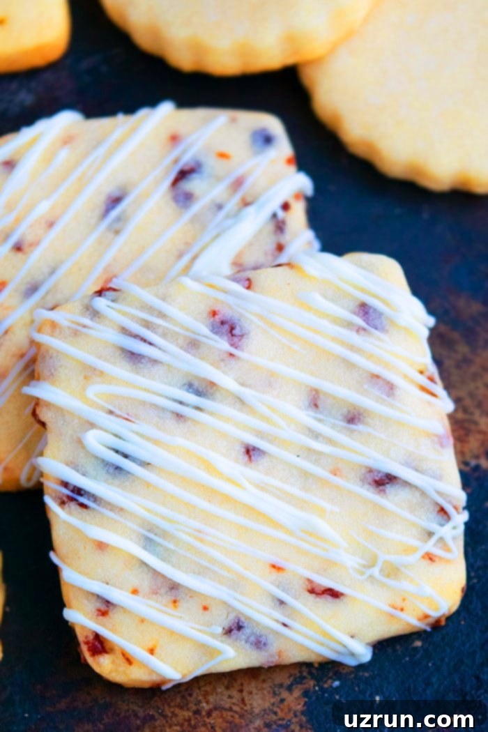 Easy Cranberry Orange Cookies