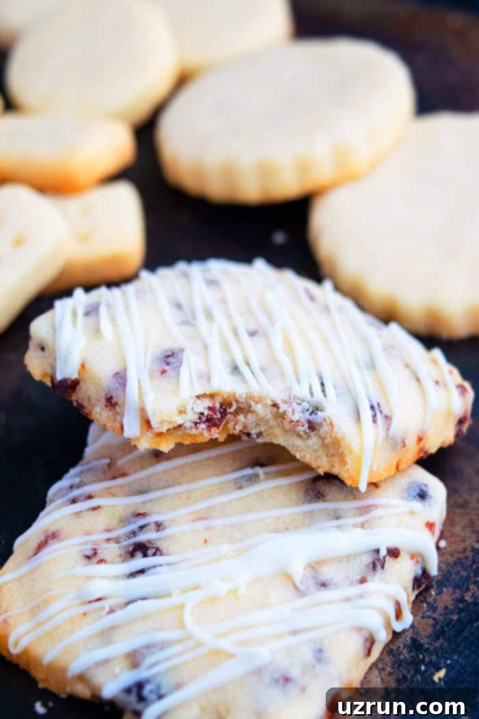 Cranberry Orange Shortbread Cookies 4 Cranberry Cookies with Dried Cranberries, Orange Zest, White Chocolate