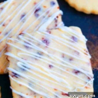 Cranberry Orange Shortbread Cookies 5 Easy Cranberry Orange Cookies Recipe