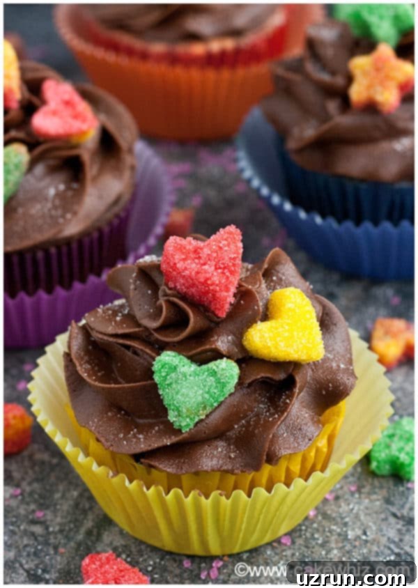 Craft Your Own Sugar Cubes 4 Chocolate Cupcakes with Sugar Decorations