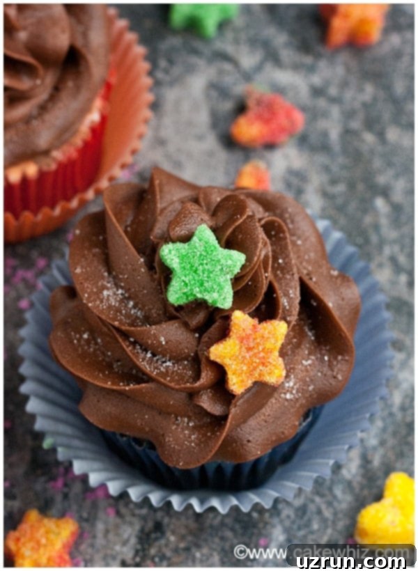 Craft Your Own Sugar Cubes 5 Chocolate Cupcakes with Star Decorations