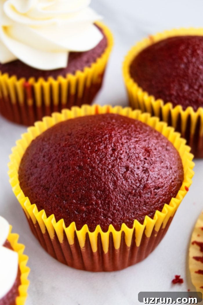 Ultimate Red Velvet Cupcakes with Cream Cheese Frosting 5 Unfrosted Valentine's Day Cupcakes in Yellow Liners