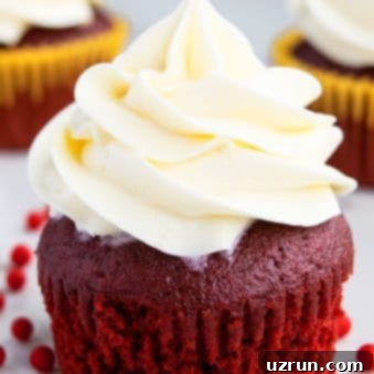 Ultimate Red Velvet Cupcakes with Cream Cheese Frosting 6 Best Easy Red Velvet Cupcakes With Cream Cheese Frosting on White Background