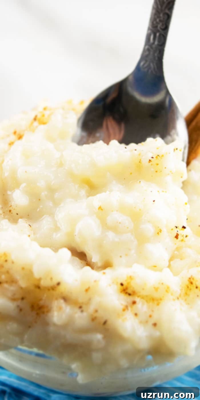 Easy Creamy Rice Pudding 3 Spoonful of Homemade Creamy Pudding- Closeup Shot.