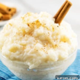 Easy Creamy Rice Pudding 5 Glass Bowl of Easy Rice Pudding From Scratch on Marble Background With Blue Napkin.