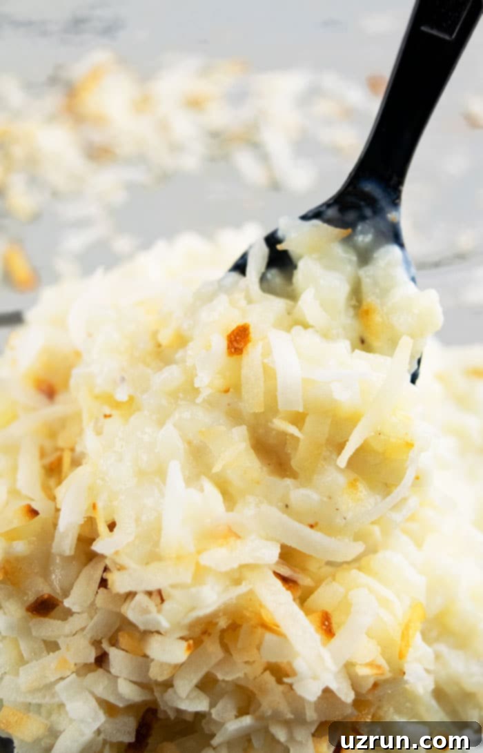 Coconut Rice Pudding Super Creamy 3 Spoonful of Pudding- Closeup Shot.