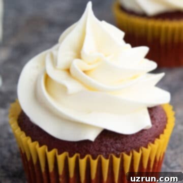 Silky Swiss Meringue Buttercream 5 Easy Swiss Meringue Buttercream Frosting Piped on Top of Cupcake.