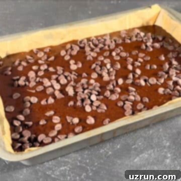 Box Mix Caramel Brownies 10 Chocolate chips being sprinkled on top.