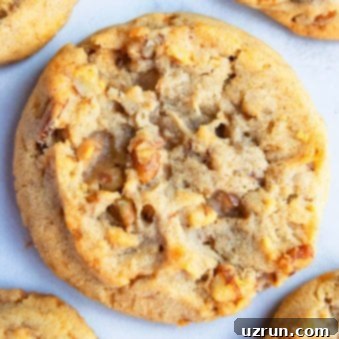 Buttery Pecan Perfection 4 Closeup shot of Homemade Butter Pecan Cookies on White Background