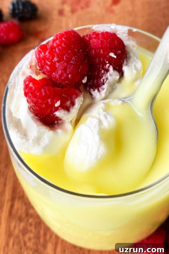 The Ultimate Homemade Vanilla Pudding 3 Closeup of Spoonful of Homemade Vanilla Pudding From Scratch