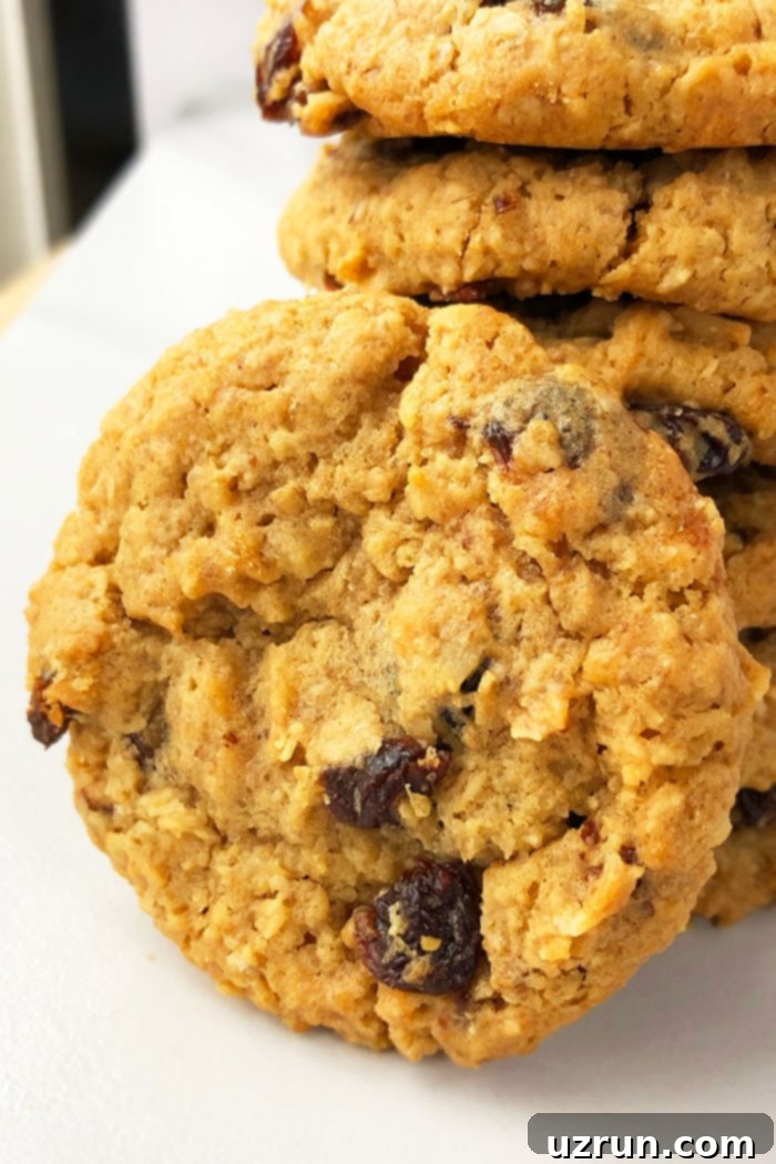 Soft and Chewy Oatmeal Raisin Cookies- Side Angle