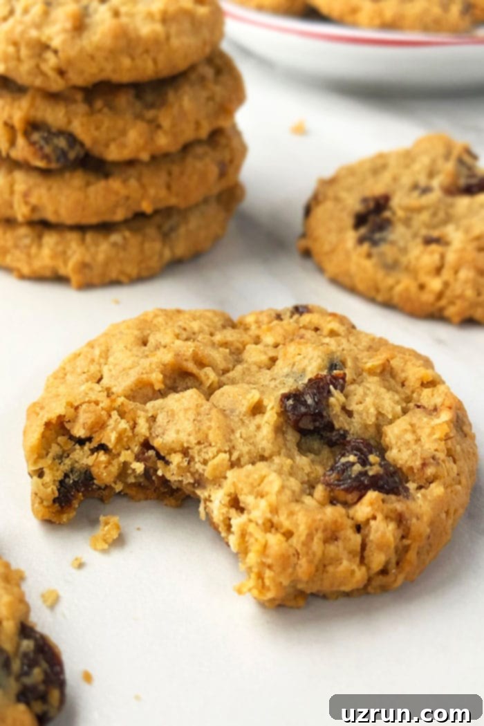 Best Soft and Chewy Oatmeal Raisin Cookies 3 Classic Oatmeal Raisin Cookies with a Bite