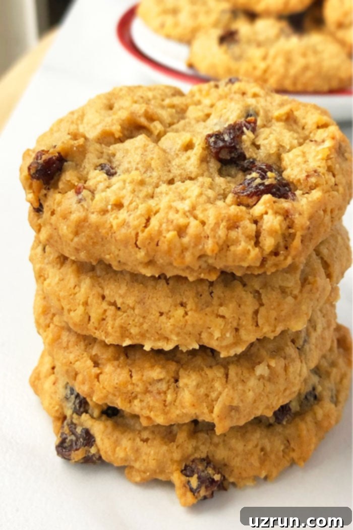 Best Soft and Chewy Oatmeal Raisin Cookies 4 Stack of Best Oatmeal Raisin Cookies