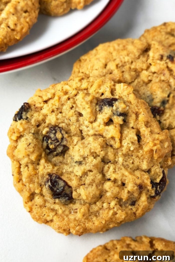 Best Soft and Chewy Oatmeal Raisin Cookies 5 Chewy Oatmeal Cookies with Raisins- Closeup