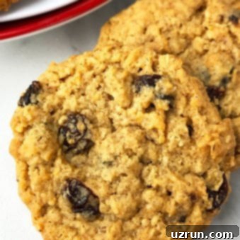 Best Soft and Chewy Oatmeal Raisin Cookies 6 Soft and Chewy Oatmeal Raisin Cookies Recipe