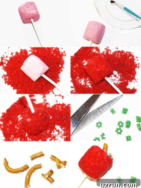 Easy Marshmallow Pops for Any Holiday 7 Collage Image With Step by Step Pictures on How to Make Marshmallow Pops