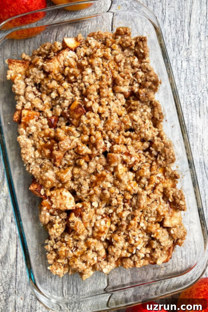 Easy 1-Hour Apple Crisp 3 Overhead Shot of Easy Apple Crisp With Crispy Oat Topping in Glass Dish on Rustic Gray Background, showing a perfect golden crust.