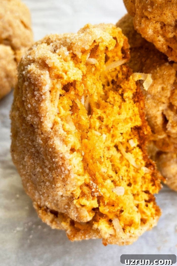 Easy Cake Mix Pumpkin Oatmeal Cookies With Partial Bite 