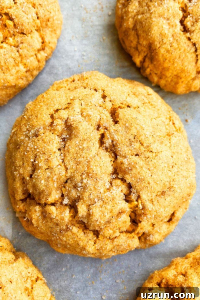 Easy Cake Mix Pumpkin Cookies 3 Closeup Shot of Homemade Pumpkin Spice Cookies on White Parchment Paper