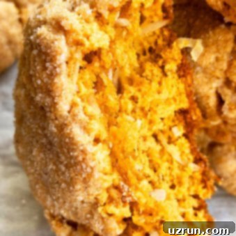 Easy Cake Mix Pumpkin Cookies 4 Easy Homemade Pumpkin Cookies With Cake Mix on White Parchment Paper- Closeup Shot