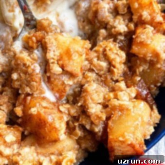 The Easiest Apple Cobbler Ever 5 Closeup Shot of Best Apple Cobbler in Blue Bowl
