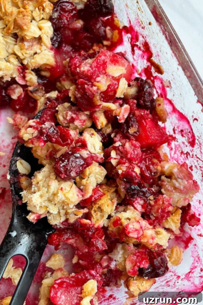 Spoonful of Cranberry Crumble in Glass Dish- Closeup Shot