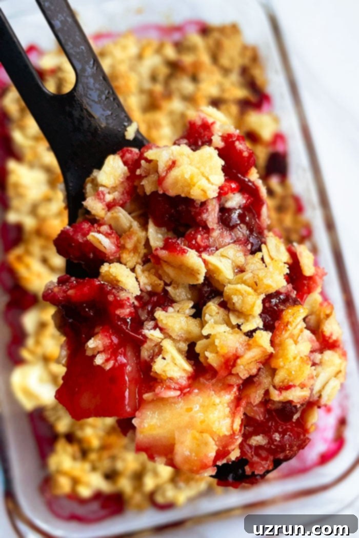 Apple Cranberry Crisp 3 Closeup Shot of Black Spoon Filled With Apple Cranberry Crumble