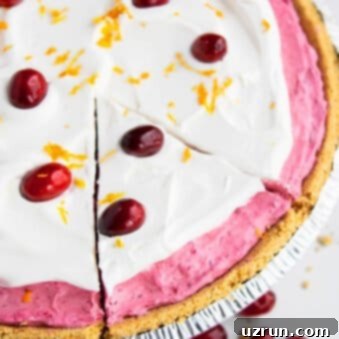 No-Bake Cranberry Delight 5 Easy No Bake Cranberry Pie Recipe on White Background