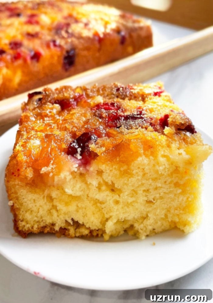 Quick and Easy Cranberry Upside Down Cake 3 Slice of Cranberry Orange Upside Down Cake on White Plate