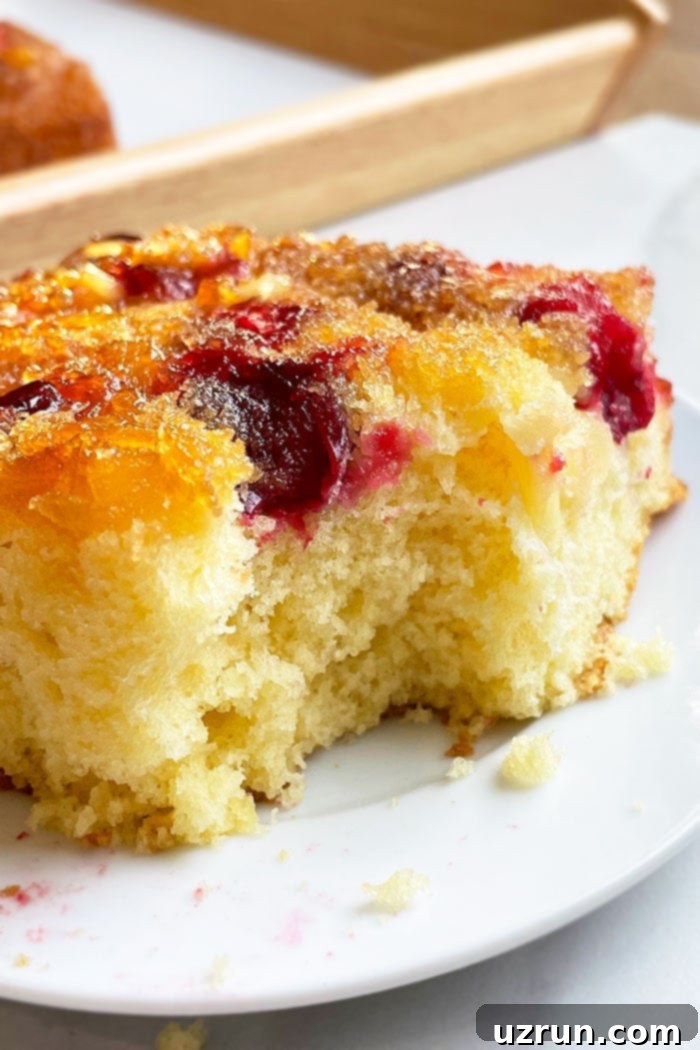 Quick and Easy Cranberry Upside Down Cake 4 Partial Slice of Upside Down Cake With Cranberries and Pineapples on White Plate