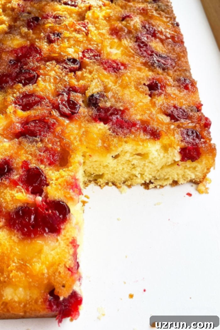 Quick and Easy Cranberry Upside Down Cake 5 Closeup Shot of the Inside of Christmas Cake on White Dish