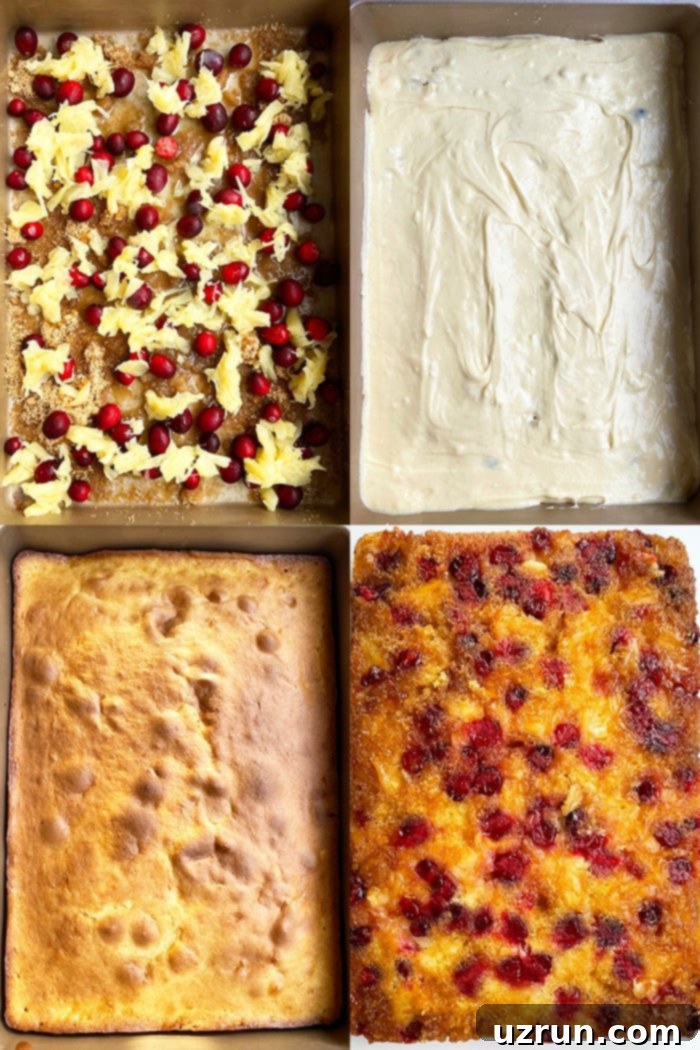 Quick and Easy Cranberry Upside Down Cake 6 Collage Image on How to Make Cranberry Upside Down Cake- Process Shot