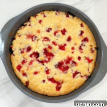 Naked Cranberry Pie 11 Baked pie without crust in pan.