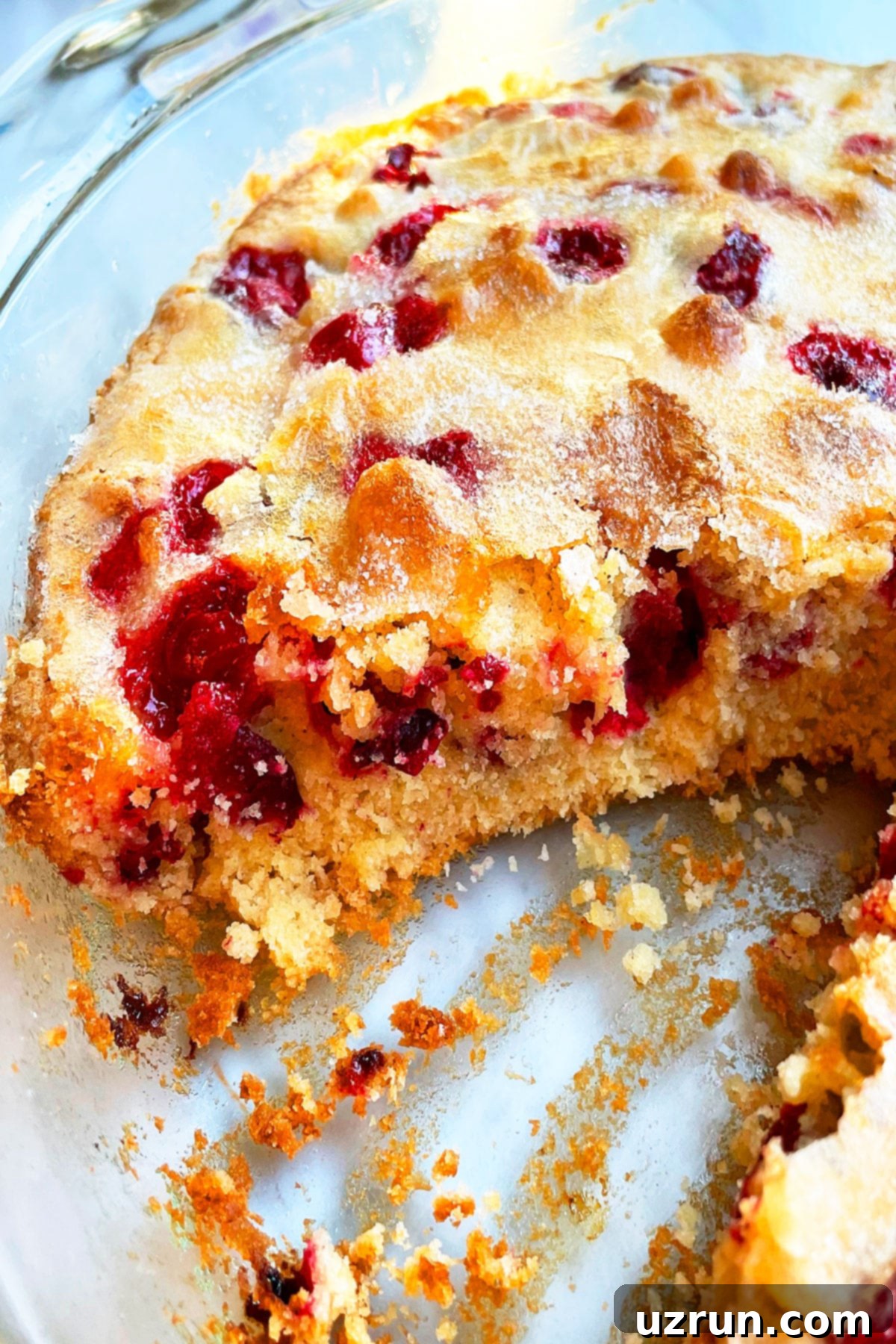 Naked Cranberry Pie 12 Crustless Thanksgiving Pie With One Slice Removed.