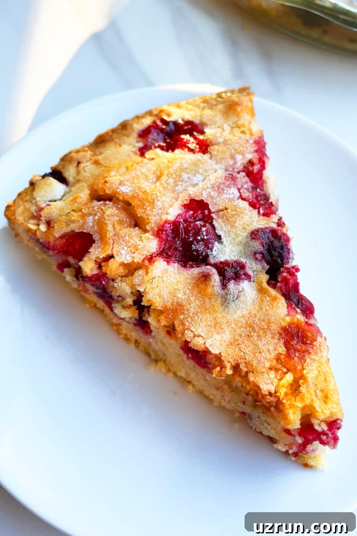 Naked Cranberry Pie 3 Slice of Crustless Holiday Pie With Fresh Cranberries in White Plate.